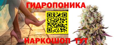 молекула духа Обнинск