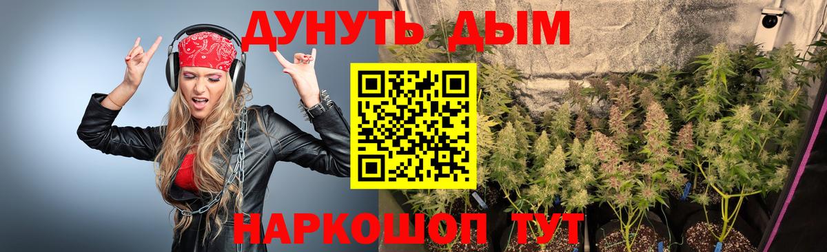 Шишки марихуана MAZAR  МАРИХУАНА сатива  Марихуана план  Вход с VPN  Дальнегорск 